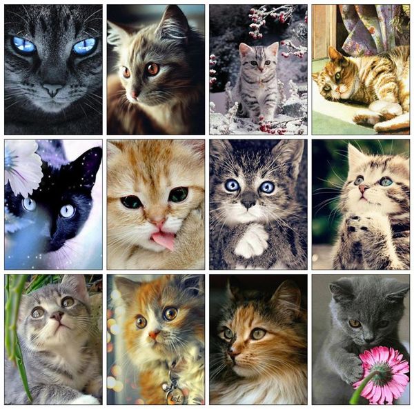 

diamond painting huacan full square cat 5d diy embroidery mosaic animal art kit decorations home