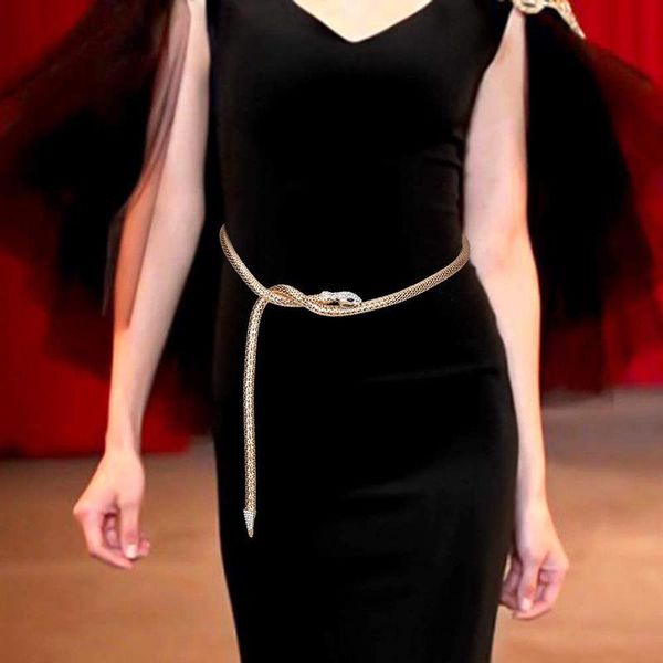 

chains zircon snake necklaces for women stainless steel gold plated multifunctional punk chain necklace gothic jewelry accessories gift, Silver