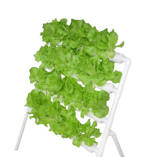 

planters & pots 36 holes hydroponic piping site grow kit deep water culture planting box gardening system nursery pot rack 110-220v