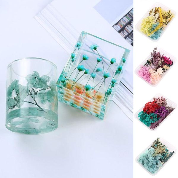 

boxed dry plants craft real dried flower jewelry making diy accessories tools
