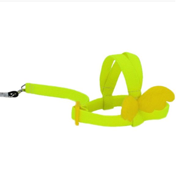 

other bird supplies outdoor flying harness leash pet toy birds walking rope universal elastic adjustable blue strap pets accessories two-met