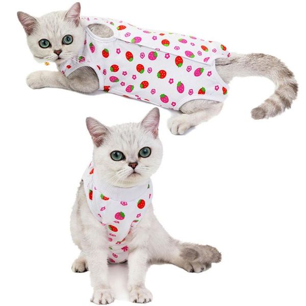 

cat costumes pet recovery weaning clothes posrative clothing anti-licking strawberry costume cute cozy cats