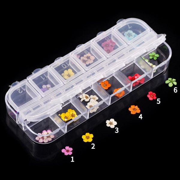 

nail art 12 colors five-petal plum-shaped sequins small dried flower long strip box 3d flowers accessories decorations, Silver;gold