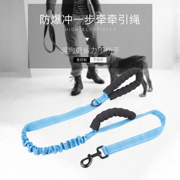 

dog collars & leashes pet cat products reflective comfort leads