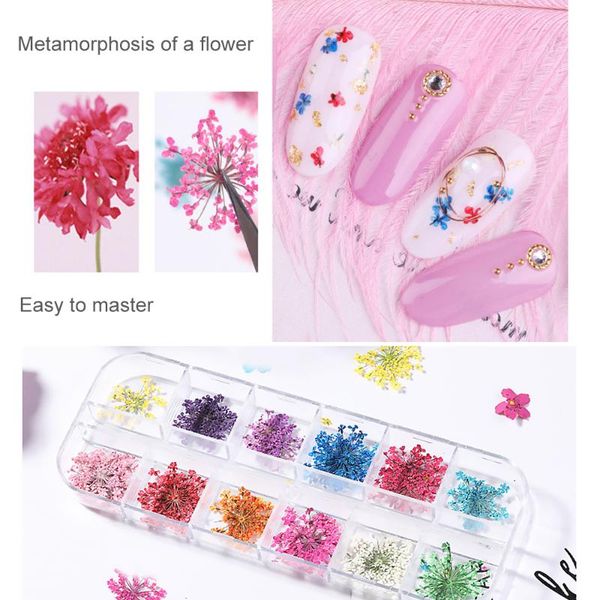 

gift wrap 24pcs 3d dried flower nail decoration diy tips small flowers nails stickers for manicure tools art decals natural decor