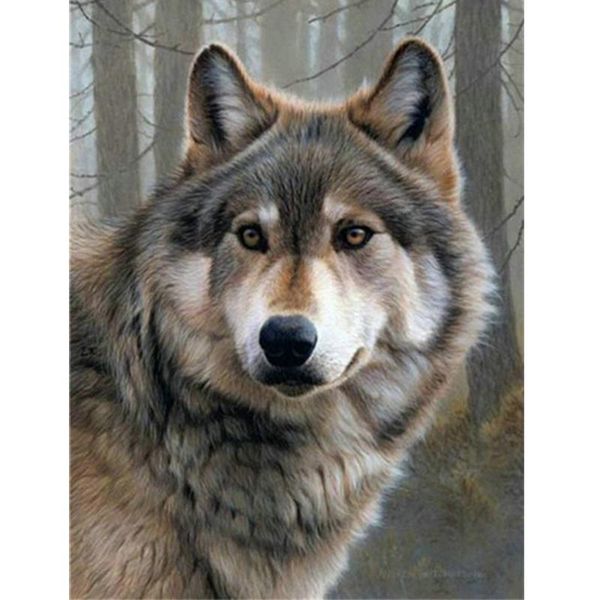 

paintings 60x75cm frame wolf diy painting by numbers kit animals coloring modern wall art picture artwork