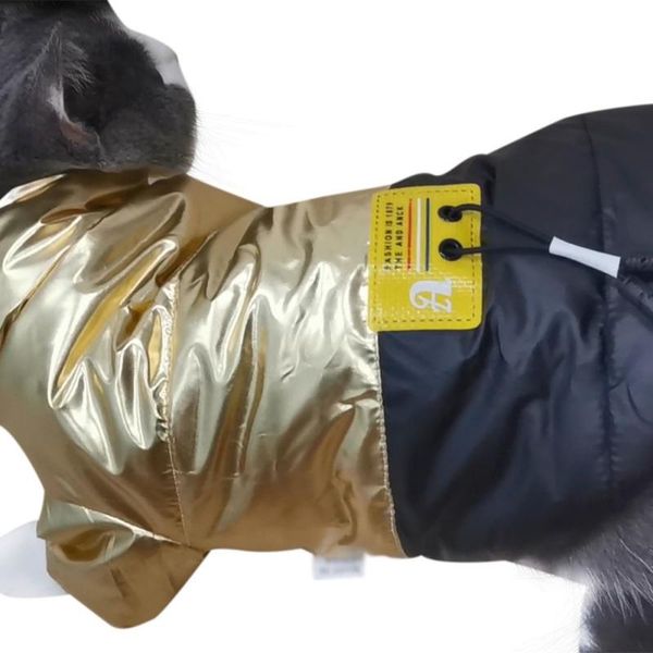 

pet autumn winter cotton padded coat for dogs puppy thickened stand-up collar down jacket dog apparel