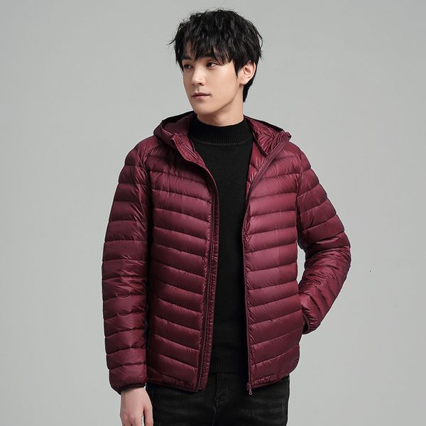 

2021 lightweight short hooded autumn and winter fashion stand collar et 90 white duck down men's wear, Black