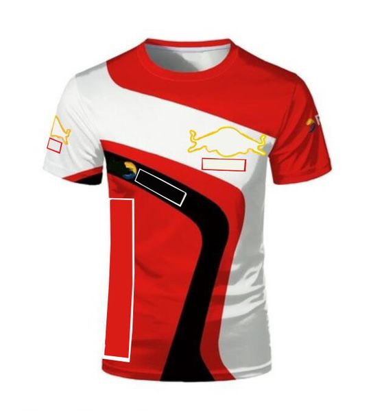 

2021f1 racing quick-drying t-shirt, team downhill short-sleeved, polyester same style customization