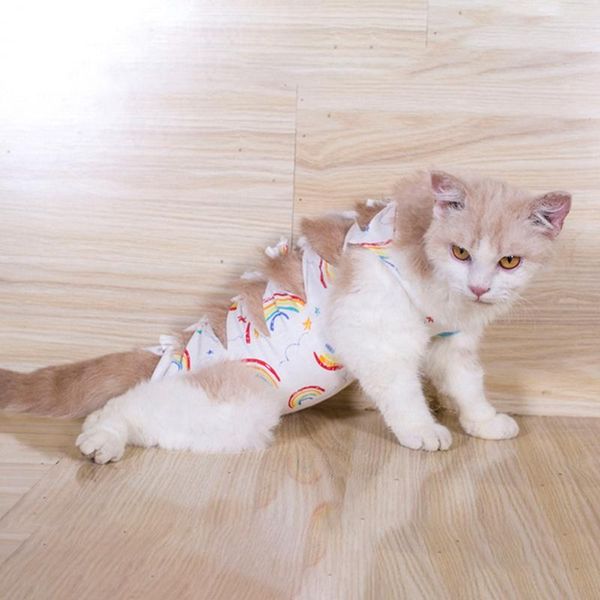 

cat costumes treatment vest t-shirt puppy clothes cotton recovery suit e collar alternative after wear anti pet licking wounds