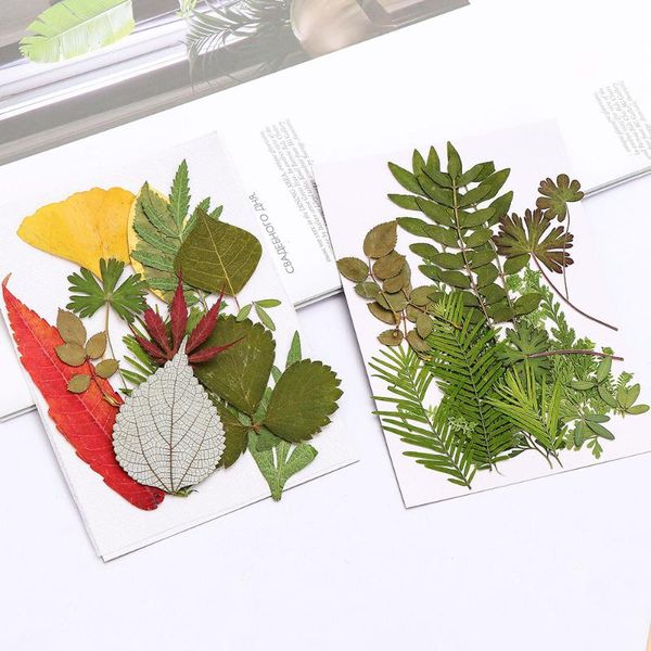 

style wedding party home decorations natural pressed flower leaf plants diy handcraft candle decor accessories decorative flowers & wreaths