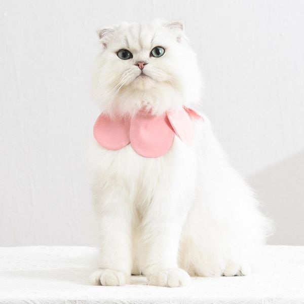 

cat costumes cute pet dog cats bib collars saliva towels for puppy neckerchief color small flower crochet collar