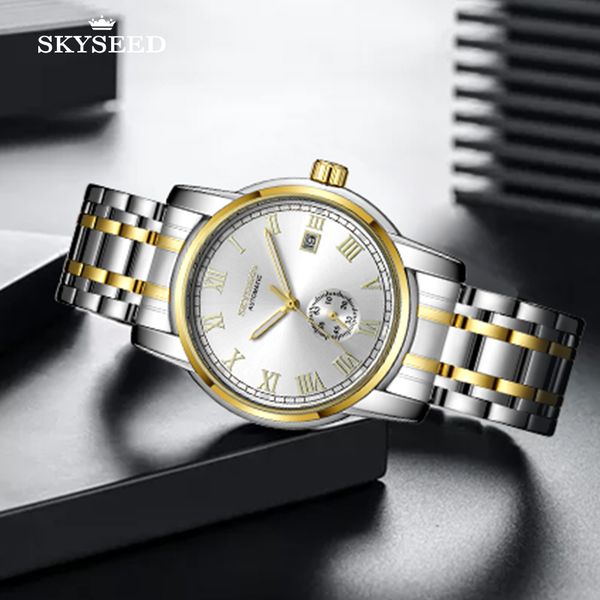 

tiandai watch roman dial simple business sapphire mirror waterproof 41mm men's automatic mechanical, Slivery;brown