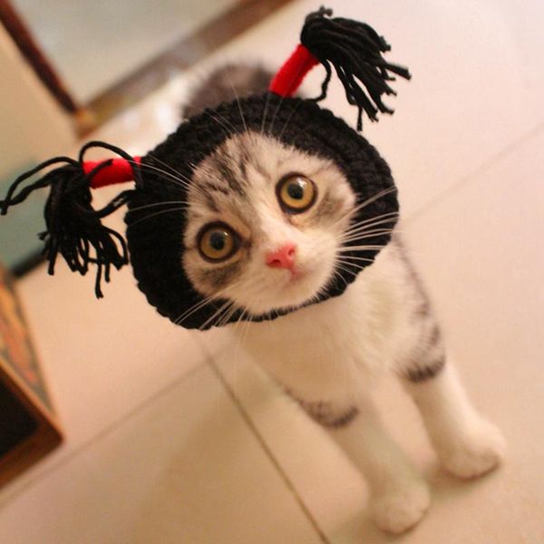 

[mpk store] cat headwear, kitten pet costume costumes