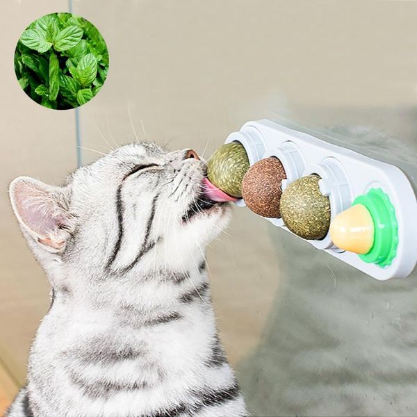

in 1 healthy catnip sugar licking candy nutrition gel energy ball toy for cats kitten increase drinking water help tool cat toys