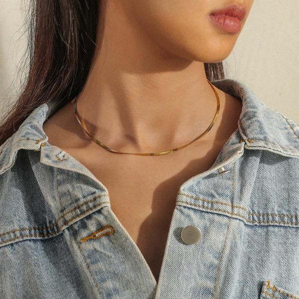 

chains 2021 european and american fashion light luxury stainless steel simple snake bone chain temperament clavicle necklace, Silver