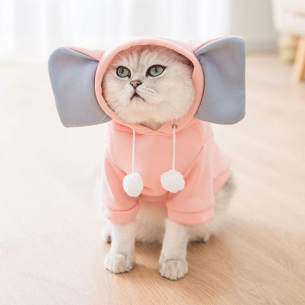 

new style cat's sweater big ears cute like cartoon changing into hooded sweater cat's two legged clothes little dog's pet clo