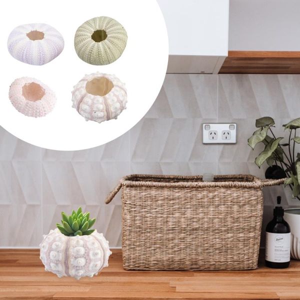 

novelty items 4pcs creative sea urchin ornaments tillandsia cultivation containers diy planting pots for home shop office