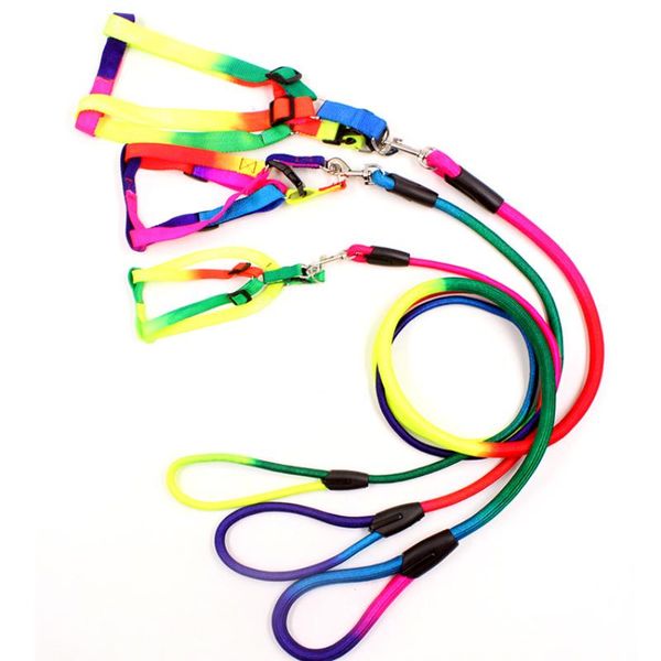

dog collars & leashes colorful round traction rope small pet chest strap seat belt