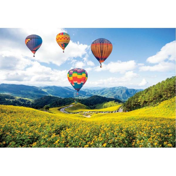 

party decoration blue sky white clouds air balloon backdrop wedding pography background props family holiday po booth