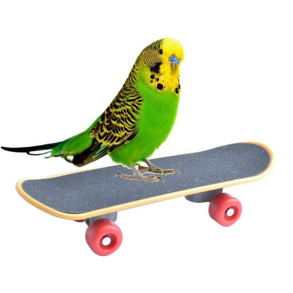 

other bird supplies pet intelligence foot-talon toys training mini skateboard stand perch for parrot