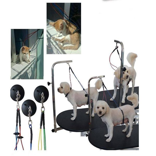 

dog collars & leashes pet cat restraint rope grooming body noose holder table collar leash harness for dogs cats training accessory