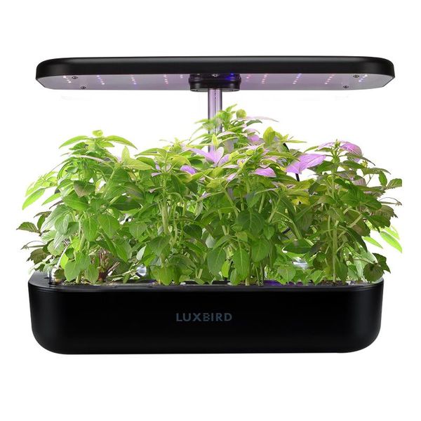 

planters & pots inkbird indoor automatic germination garden planter hydroponics system home gardening flower with full spectrum grow light