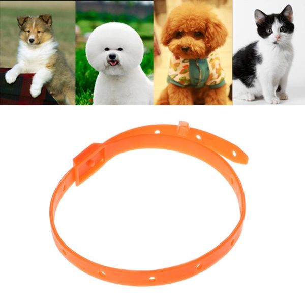 

cat collars & leads pet dog flea tick kill remover collar adjustable protection aroma neck ring