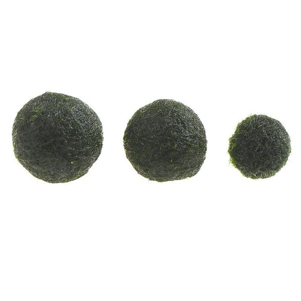 

japan genuine aquarium ball landscaping 1cm chlorella algae marimo happy environmental green seaweed decorations