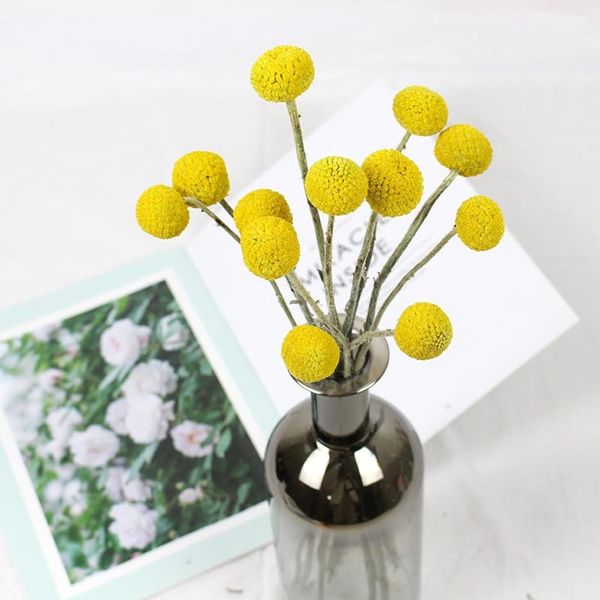 

decorative flowers & wreaths 20pcs dried branch 2cm head large billy ball bouquet real nature plants floral home decoration accessories