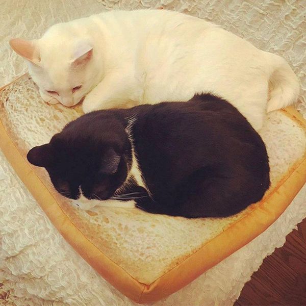 

bread cats bed toast slice style pet mats cushion soft warm mattress for dogs scvd889 cat beds & furniture