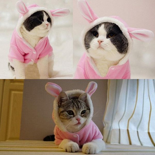 

pet cat clothes mascotas costume for hoodies clothing puppy fleece warm jacket outfit costumes
