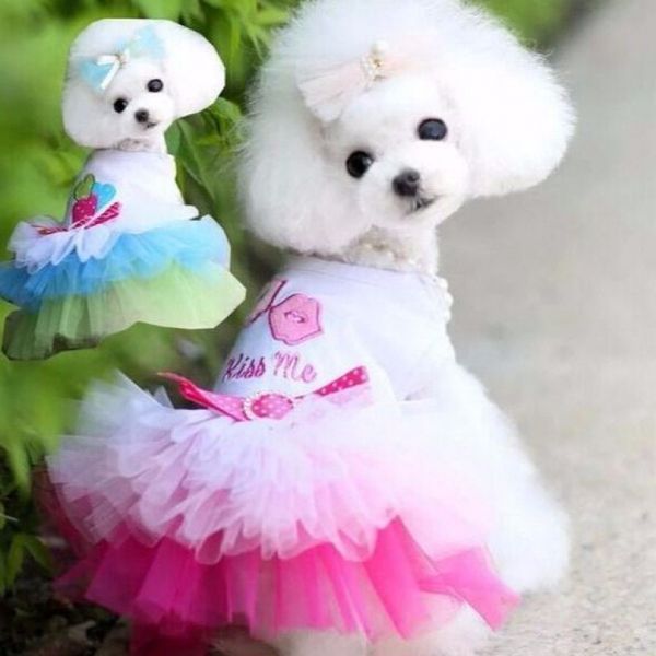

pet dog clothing spring and summer pet skirt lips gauze cat