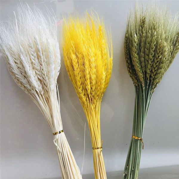 

100pcs/lot diy craft scrapbook home decor wheat bouquet real wheat ear flower natural dried flowers for wedding party decoration