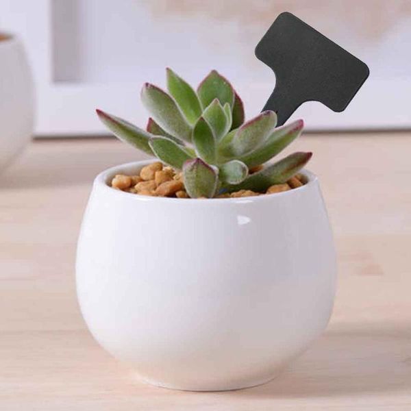 

other garden supplies 100pcs vegetable tags grounded t type writing filling insert plant labels landscape pp plastic anti uv nursery markers