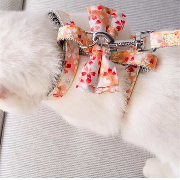 

dog collars & leashes bowknot cat harness straps nylon webbing adjustable chest pet collar set supplies leash