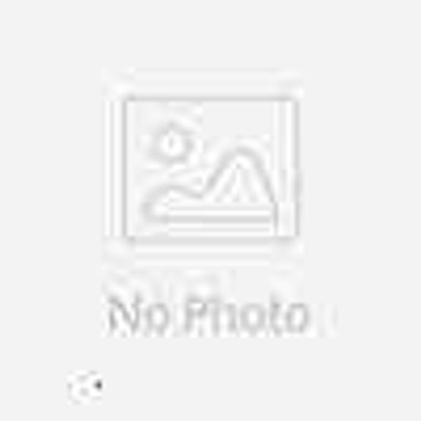 

undergarments sleepwear modena 2021 butterfly hollow out underwear set 14401, White