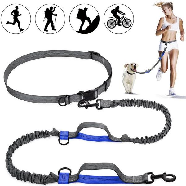 

dog collars & leashes elastic waist leash for running walking jogging sports training retractable hands lead with reflective strip
