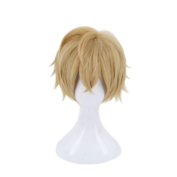 

fate/extra saber servant gawain cosplay wig golden short fluffy men synthetic hair halloween party anime costume wigs, Black