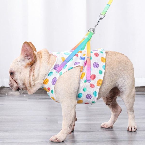

dog collars & leashes harness and leash set rainbow wave point vest collar outdoor walking lead rope pet supplies