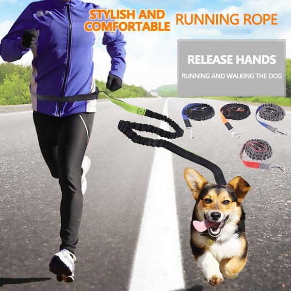 

pet dog cat running jogging padded waist belt reflective strip elastic leash perfect walking training set hands collars & leashes