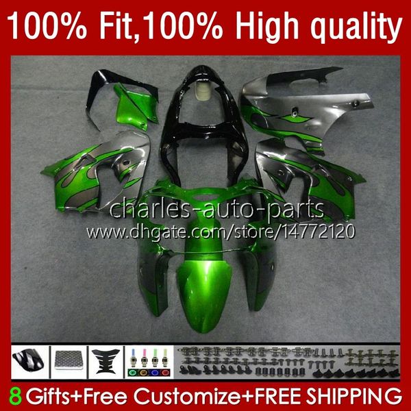 Corpo stampo ad iniezione Per KAWASAKI NINJA ZX 9R 900 CC ZX9 9 R ZX9R 00 01 02 03 Carrozzeria 25No.21 ZX900 ZX-9R 2000 2001 2002 2003 ZX-900 900CC 98-03 Kit carenatura OEM fiamme grigie