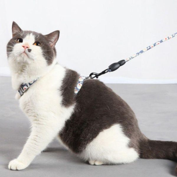 

pet chest cats harness vest breathable adjustable cat traction rope set collar and leash collars & leads