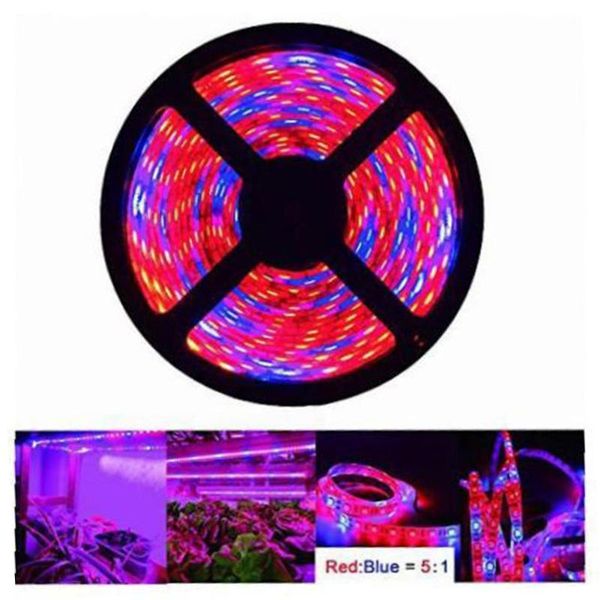 

led plant grow strip light full spectrum creative rope for vegetable cultivation horticulture industrial seedling lights