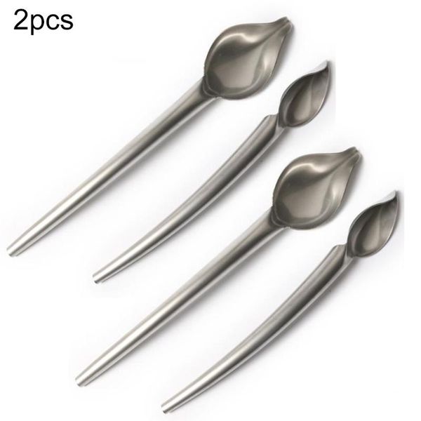 

spoons 2pcs stainless steel drawing chef decorative spoon draw tool for sauce dressing dessert bakeware cake coffee