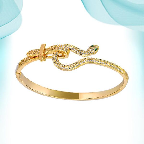 

bangle 2021 women's snake bracelets fashion trendy orange tapered exquisite personalized making charms for jewelry, Black