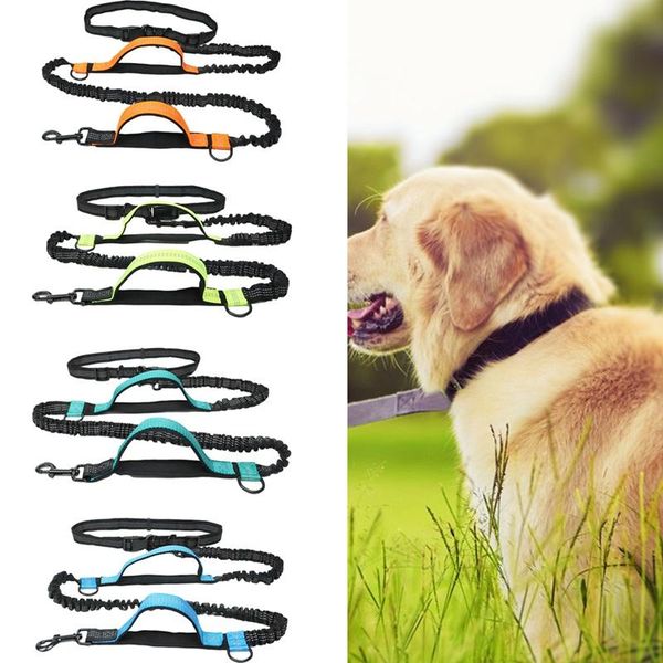 

dog collars & leashes pet running belt 2021 reflective leash traction rope elastic hands y jogging pull metal d-ring