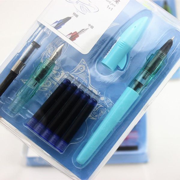 

fountain pens jinhao style affordable double nib pen set iraurita good gift ink for friend