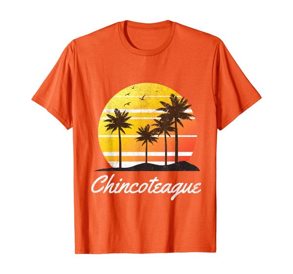 

Chincoteague Virginia Vacation Family Beach Group Gift T-Shirt, Mainly pictures