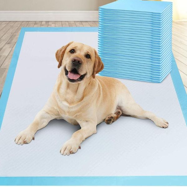 

kennels & pens pet training pads leak-proof and super absorbent dog pee disposable fast drying mats for dogs s/m/l/xl